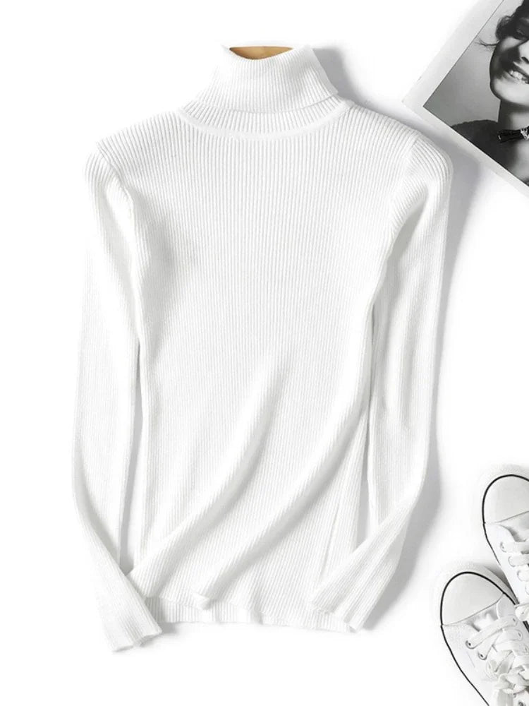Form Knit Turtleneck - LoakesBalvin