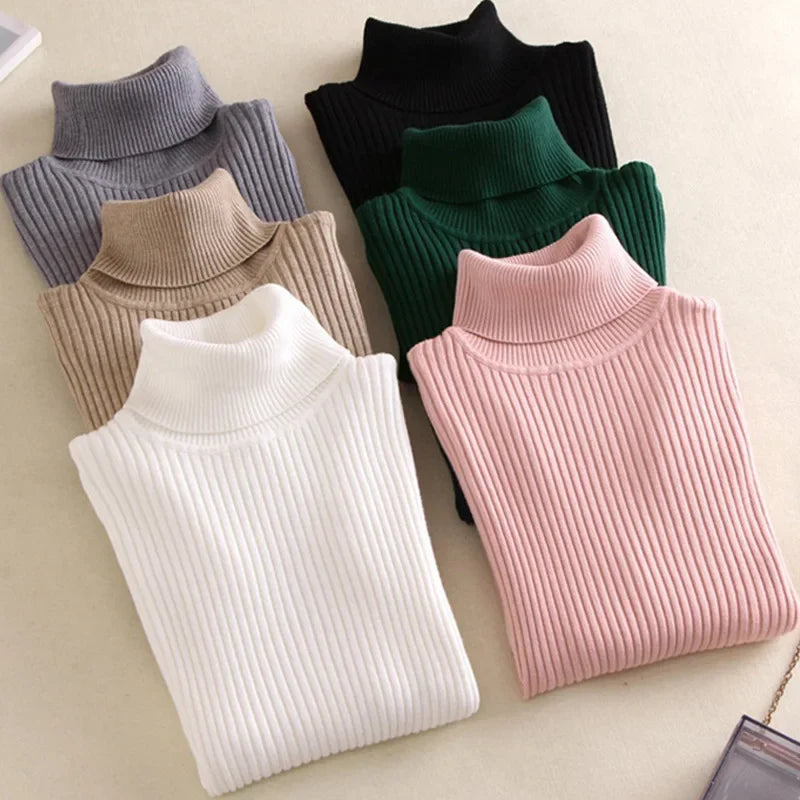 Form Knit Turtleneck - LoakesBalvin