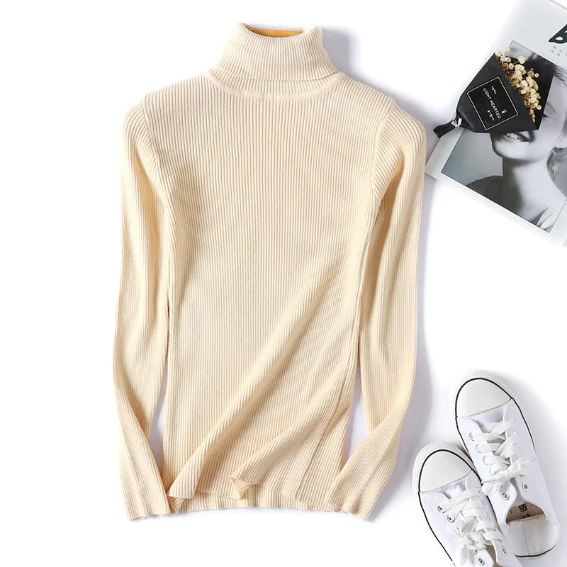 Form Knit Turtleneck - LoakesBalvin