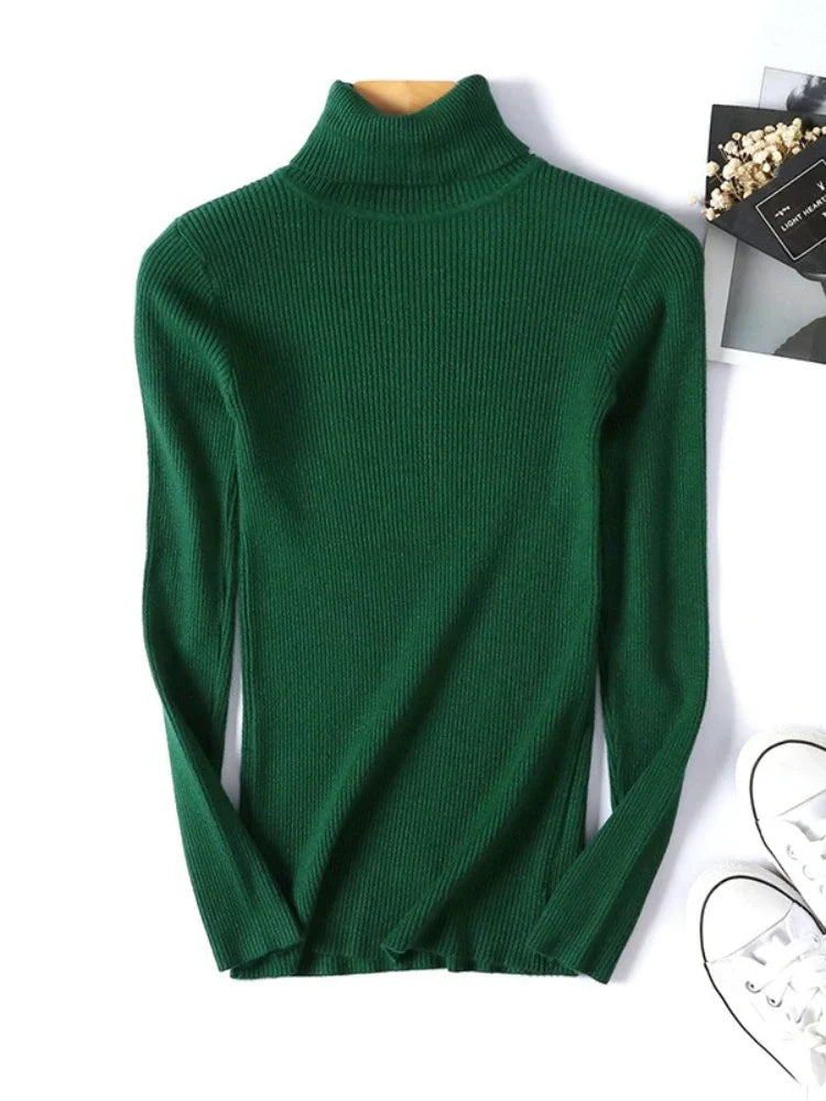 Form Knit Turtleneck - LoakesBalvin